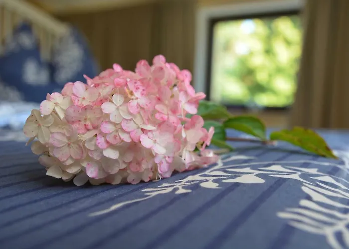 Apartment Arnold Stolpen